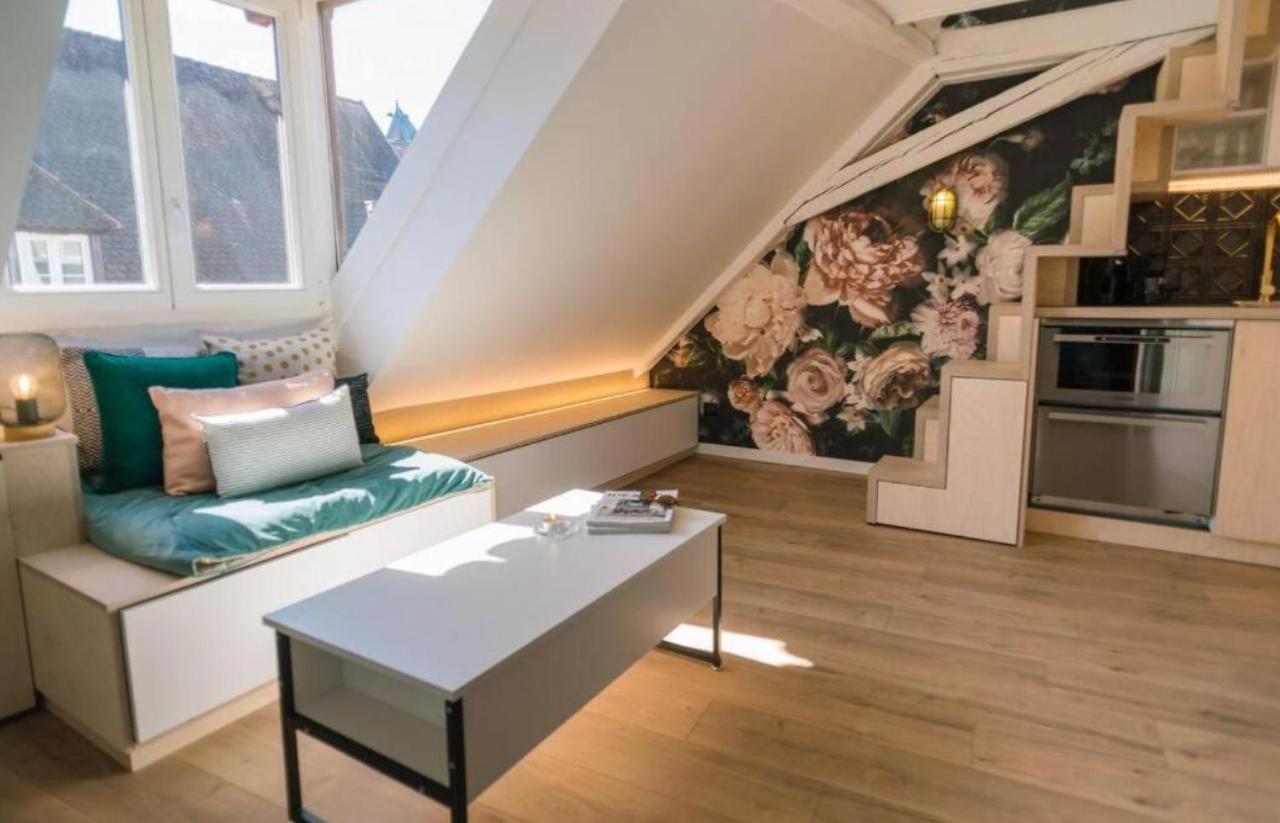 L'Evasion - Cozy - Rbnb Strasbourg Kültér fotó